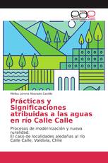 Prácticas y Significaciones atribuidas a las aguas en río Calle Calle