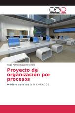 Proyecto de organización por procesos