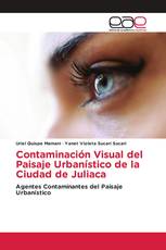 Contaminación Visual del Paisaje Urbanístico de la Ciudad de Juliaca