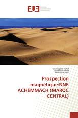 Prospection magnétique:NNE ACHEMMACH (MAROC CENTRAL)