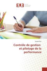 Contrôle de gestion et pilotage de la performance