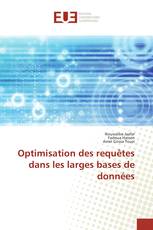 Optimisation des requêtes dans les larges bases de données