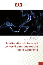 Amélioration du transfert convectif dans une couche limite turbulente