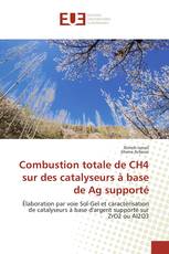 Combustion totale de CH4 sur des catalyseurs à base de Ag supporté