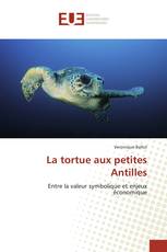 La tortue aux petites Antilles