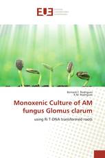 Monoxenic Culture of AM fungus Glomus clarum