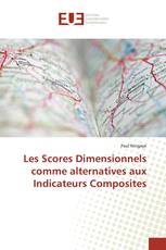 Les Scores Dimensionnels comme alternatives aux Indicateurs Composites