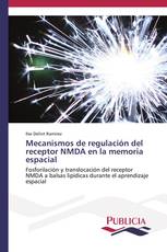 Mecanismos de regulación del receptor NMDA en la memoria espacial