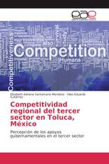 Competitividad regional del tercer sector en Toluca, México