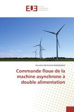 Commande floue de la machine asynchrone à double alimentation