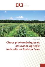 Chocs pluviométriques et assurance agricole indicielle au Burkina Faso