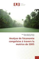 Analyse de l'économie congolaise à travers la matrice de 2005