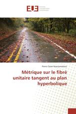 Métrique sur le fibré unitaire tangent au plan hyperbolique