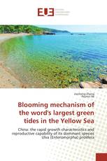 Blooming mechanism of the word's largest green tides in the Yellow Sea