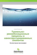 Туннельно-рекомбинационные процессы в наноструктурированных элементах