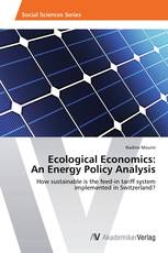 Ecological Economics: An Energy Policy Analysis