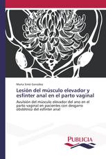 Lesión del músculo elevador y esfínter anal en el parto vaginal