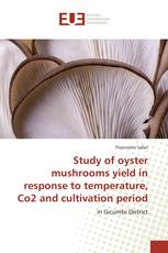 Study of oyster mushrooms yield in response to temperature, Co2 and cultivation period