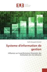 Systeme d'information de gestion