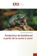 Production de bioéthanol à partir de la canne à sucre