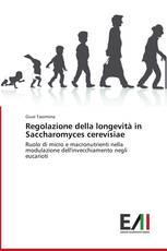 Regolazione della longevità in Saccharomyces cerevisiae