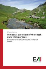 Temporal evolution of the check dam filling process