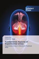 Fundamental Aspects of Experimental stress