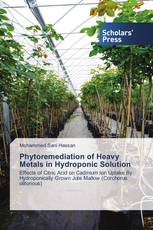 Phytoremediation of Heavy Metals in Hydroponic Solution