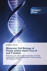 Molecular Cell Biology of Potato yellow dwarf virus N and P protein