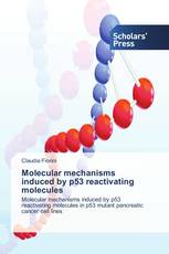 Molecular mechanisms induced by p53 reactivating molecules