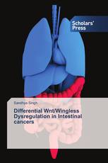 Differential Wnt/Wingless Dysregulation in Intestinal cancers