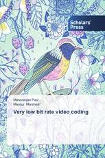 Very low bit rate video coding