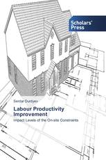 Labour Productivity Improvement