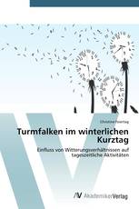 Turmfalken im winterlichen Kurztag