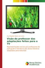 Visão do professor das adaptações feitas para a TV