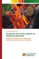 Produção de carvão vegetal no Distrito de Muembe