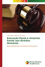 Execução Penal e minorias frente aos Direitos Humanos