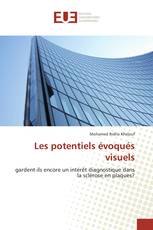 Les potentiels évoqués visuels