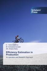Efficiency Estimation in Production