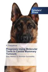 Prognosis Using Molecular Tools In Canine Mammary Tumours
