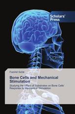 Bone Cells and Mechanical Stimulation