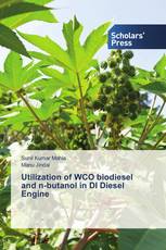 Utilization of WCO biodiesel and n-butanol in DI Diesel Engine