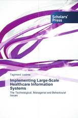 Implementing Large-Scale Healthcare Information Systems