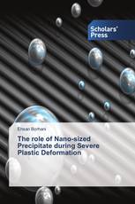 The role of Nano-sized Precipitate during Severe Plastic Deformation