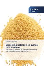 Dissecting heterosis in guinea-race sorghum