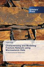 Characterizing and Modeling Fracture Network using Microseismic Data
