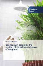 Sporisorium sorghi as the incitant of kernel smut disease of sorghum