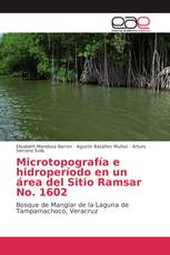 Microtopografía e hidroperíodo en un área del Sitio Ramsar No. 1602