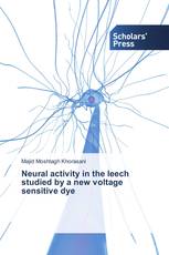 Neural activity in the leech studied by a new voltage sensitive dye