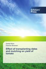 Effect of transplanting dates and mulching on  yield of tomato